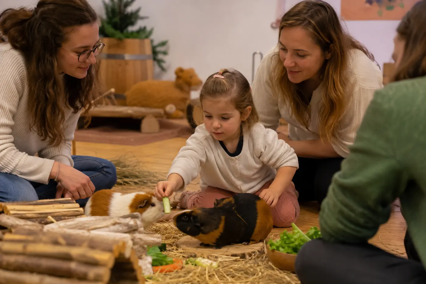 Atelier parents enfants autour de cochons d’Inde