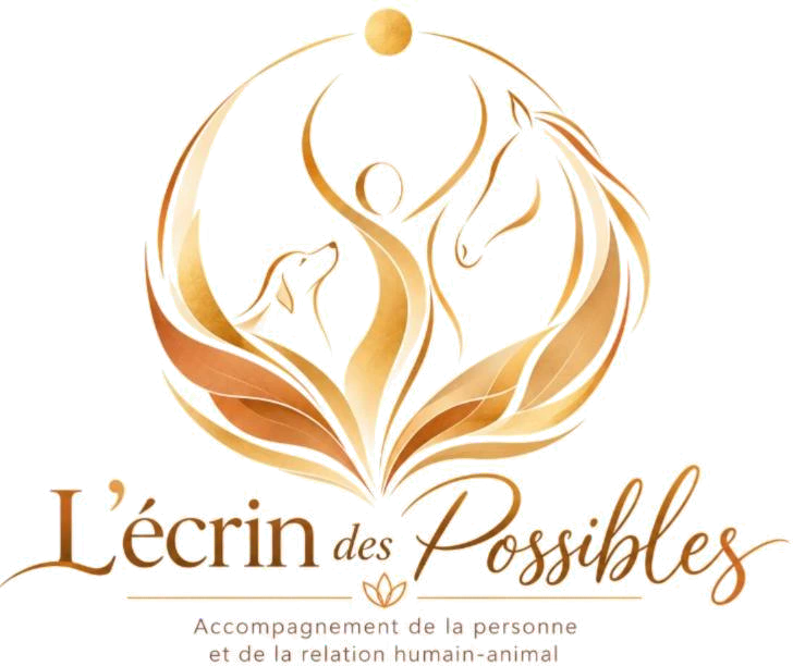 Logo de L'écrin des possibles